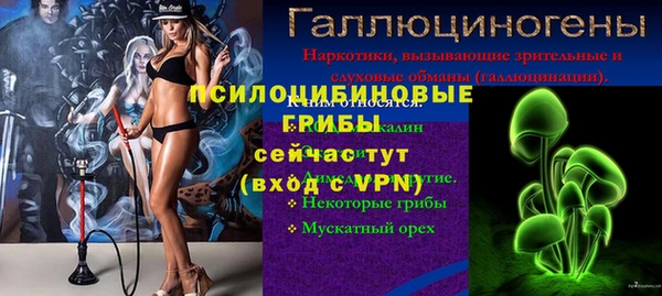 spice Аркадак