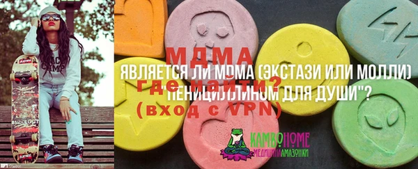 spice Аркадак