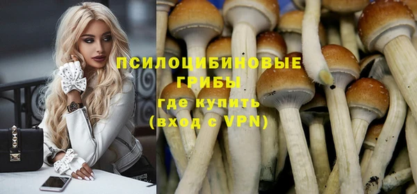 а пвп мука Армянск