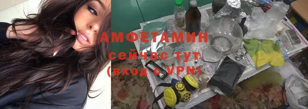 spice Аркадак